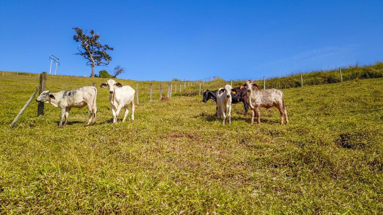 Pousada Sonho Meu Itanhandu Kültér fotó