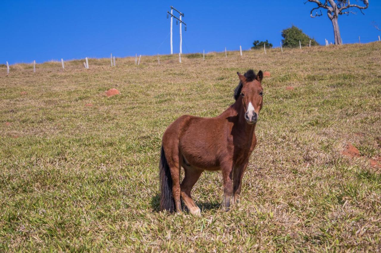 Pousada Sonho Meu Itanhandu Kültér fotó