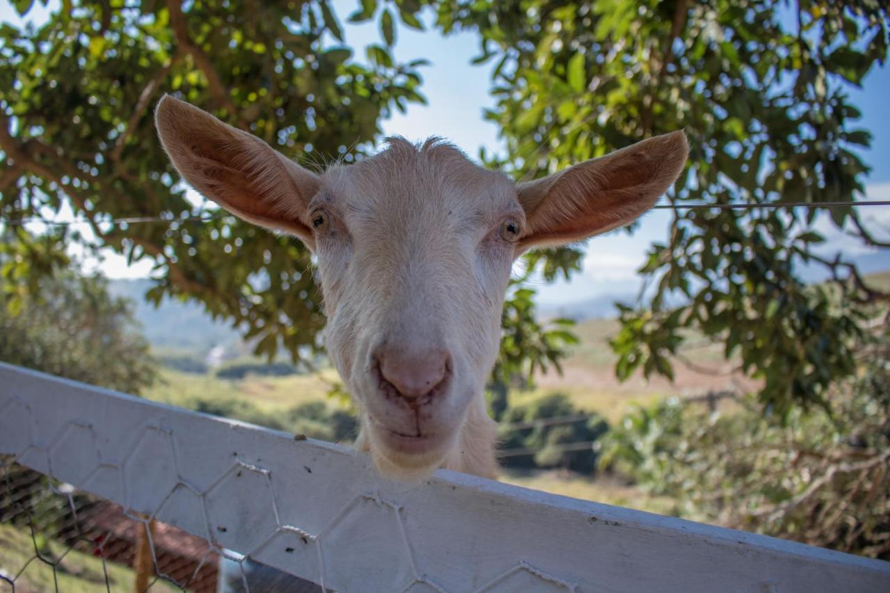 Pousada Sonho Meu Itanhandu Kültér fotó
